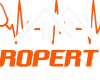 The Property Doctor Logo